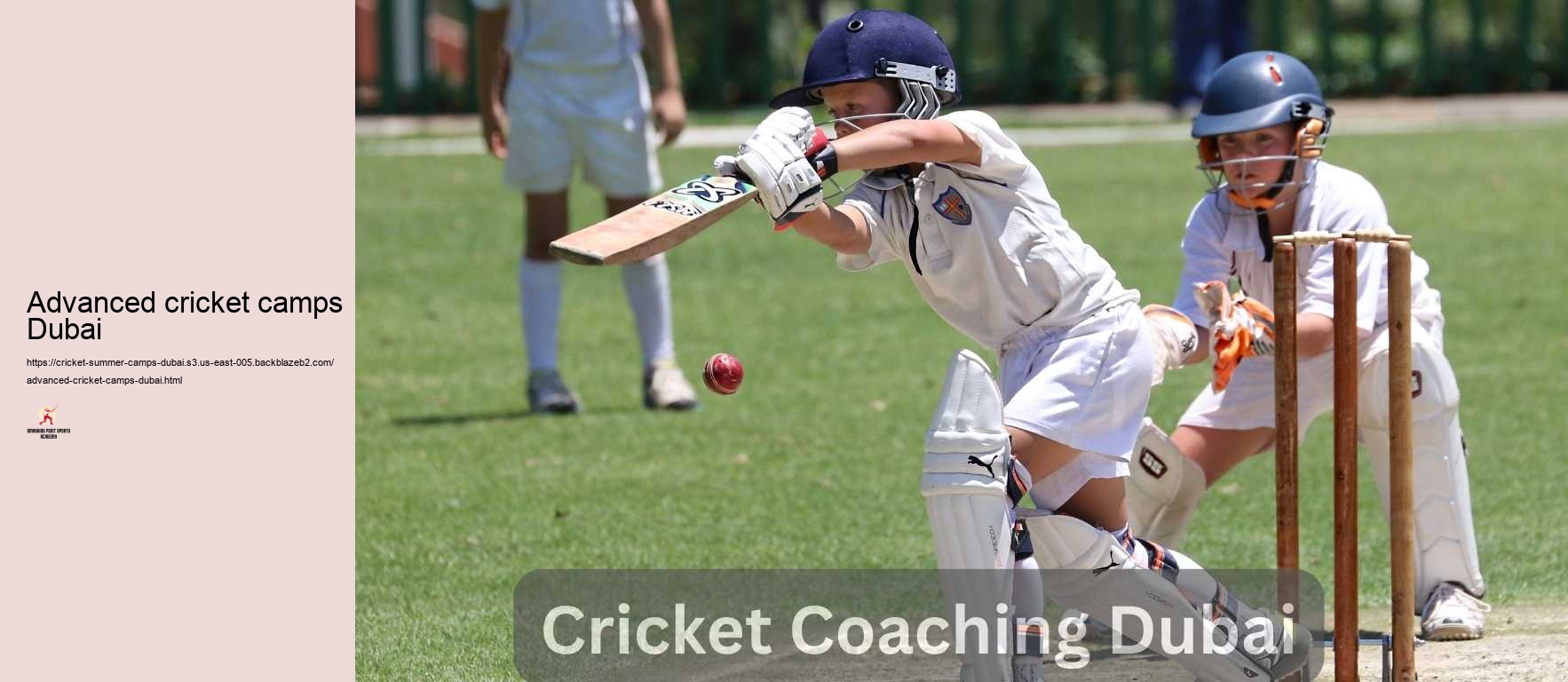 Advanced cricket camps Dubai