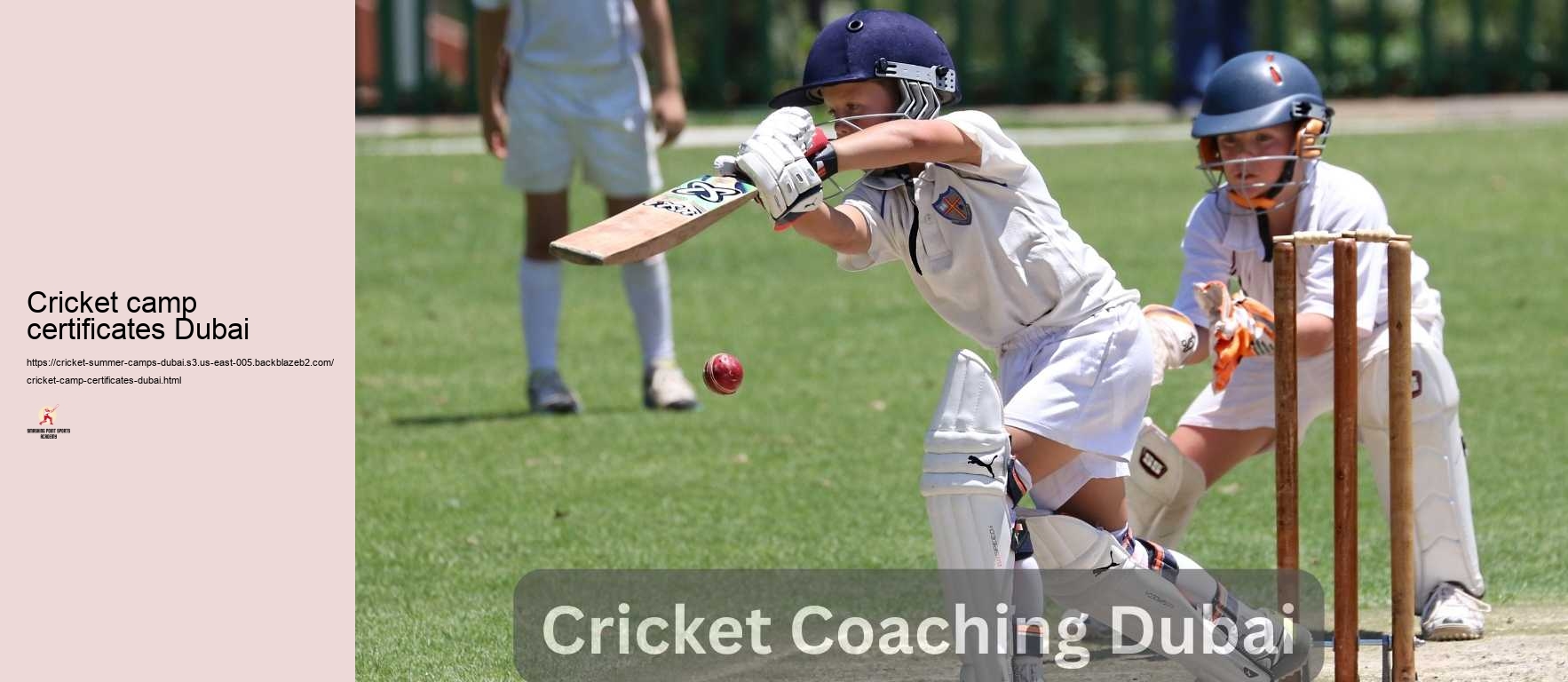 Cricket camp certificates Dubai