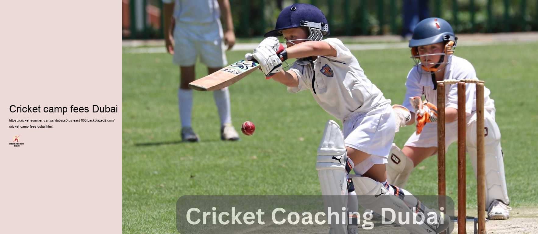 Cricket camp fees Dubai