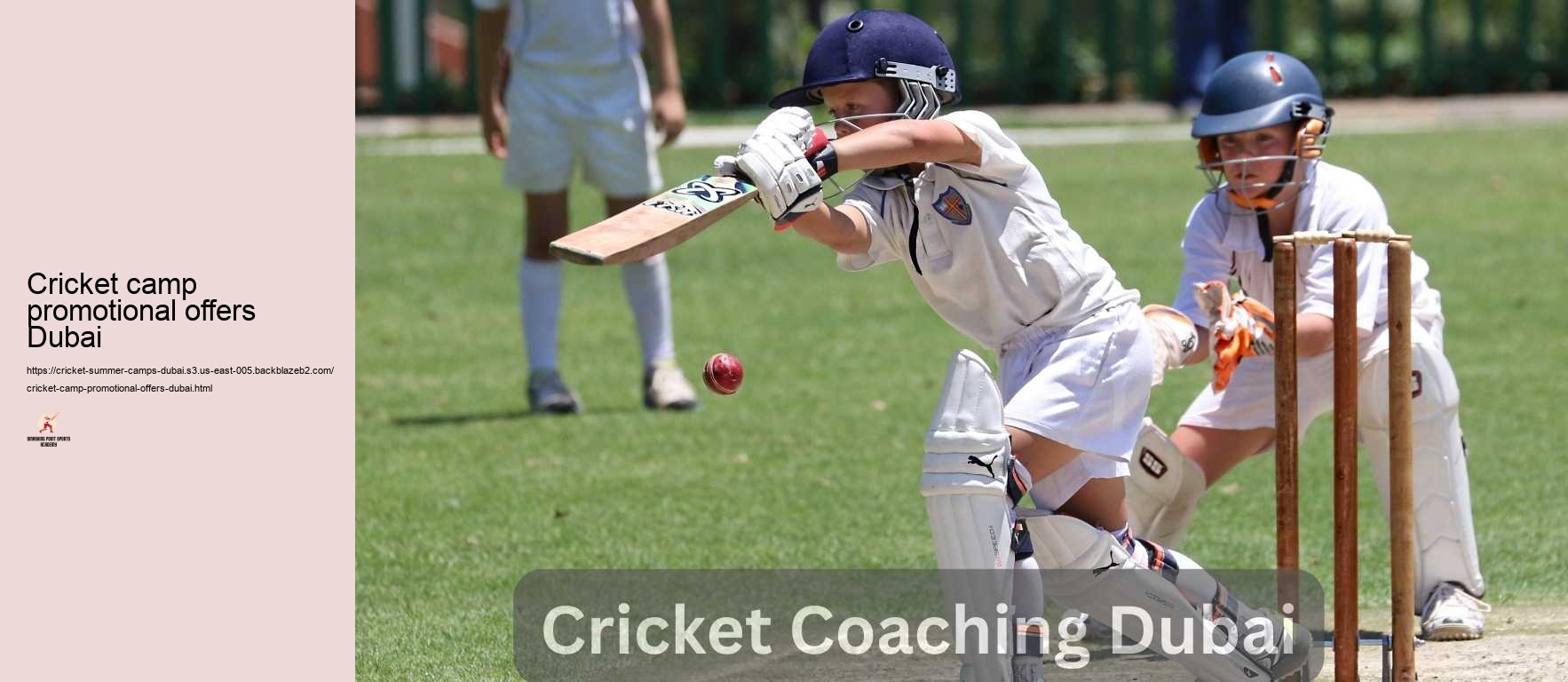 Cricket camp promotional offers Dubai