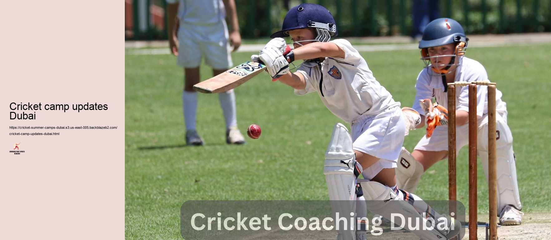 Cricket camp updates Dubai