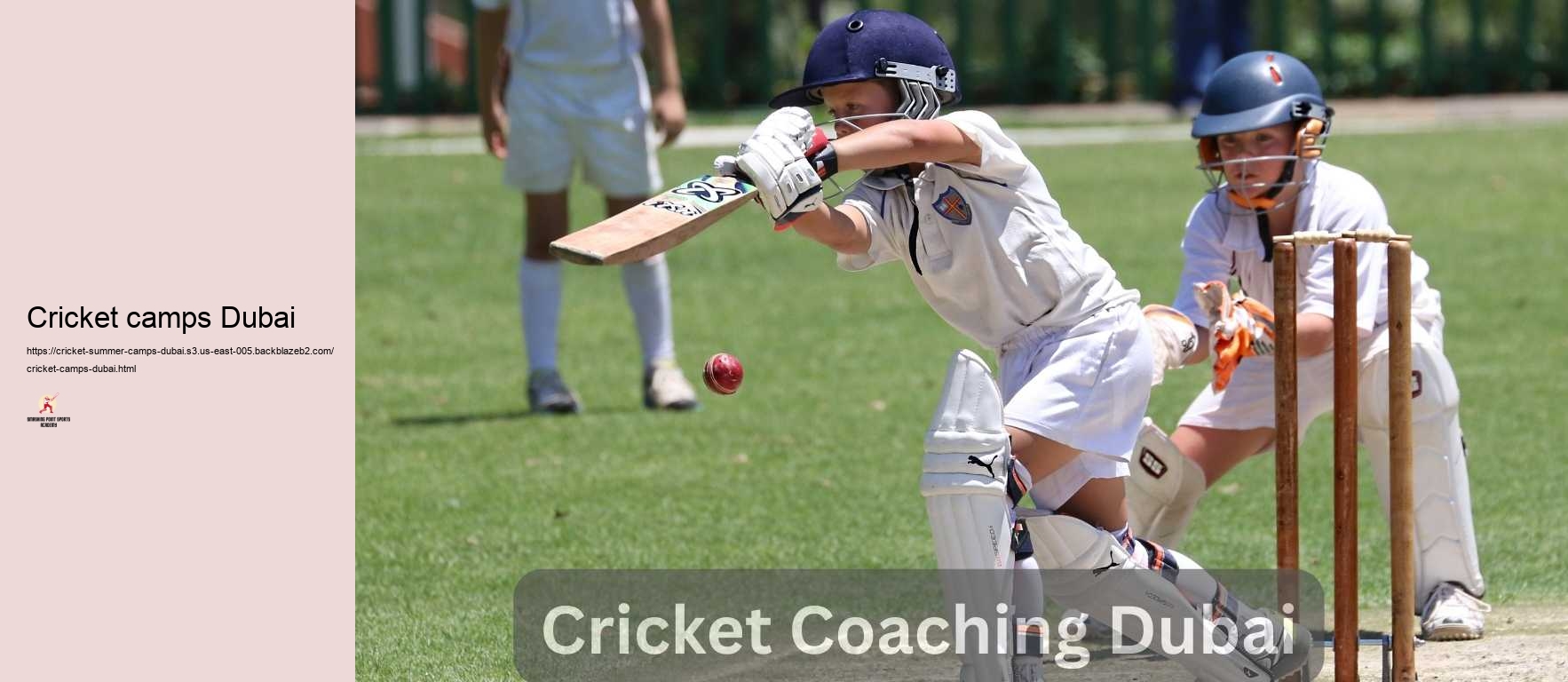 Cricket camps Dubai