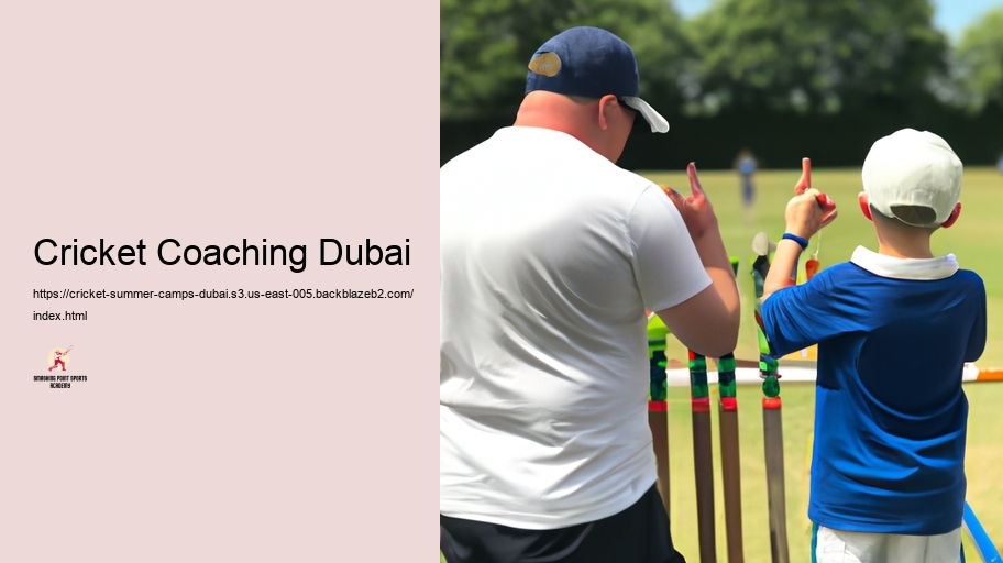 Checking out Various Cricket Camp Options in Dubai